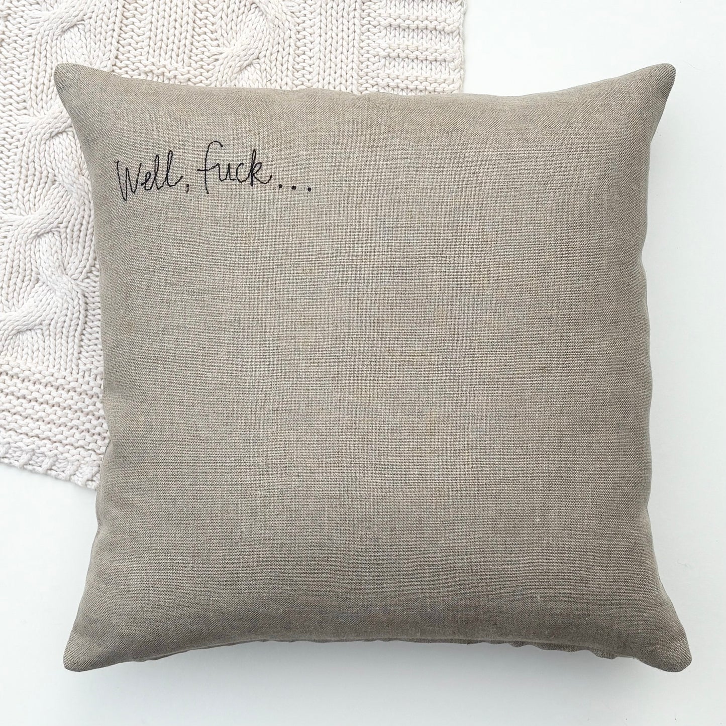 Well, fuck… Pillow